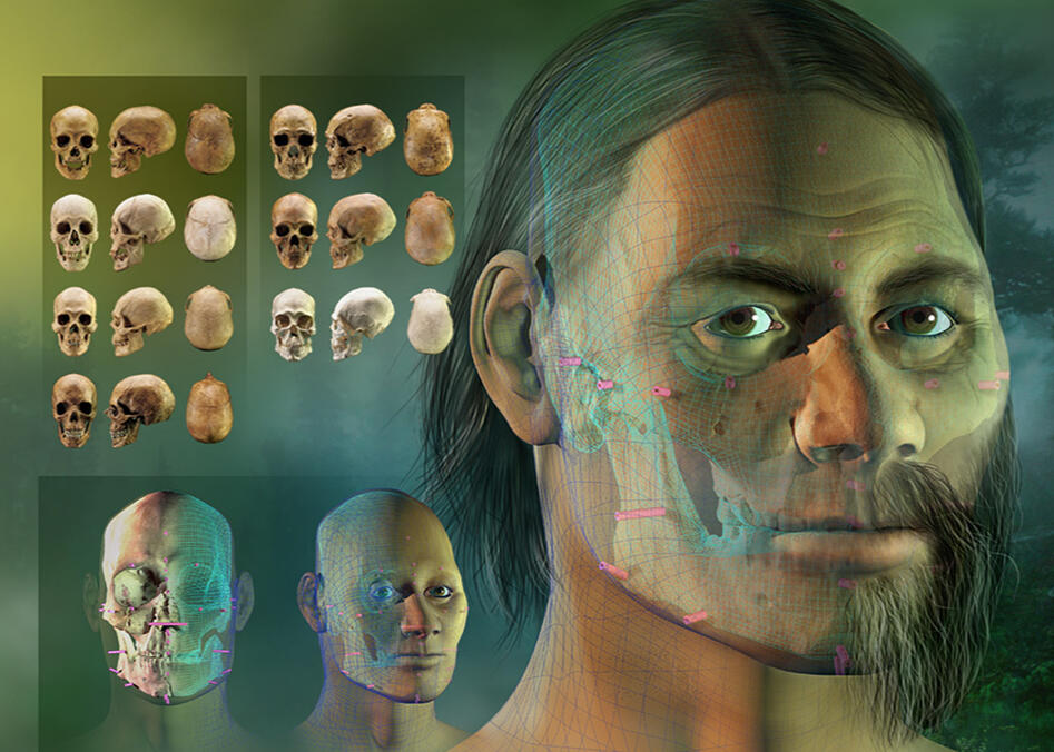 Subject: Reconstructing Kennewick Man Category: Editorial Illustration Inception: 1999 Intended Use: National Geographic and Smithsonian Institute